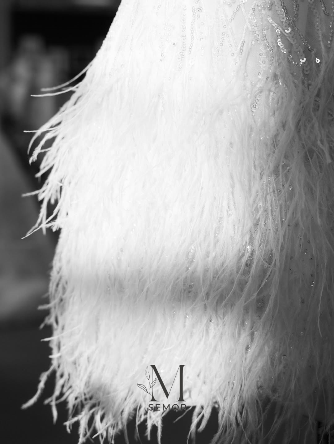 Semor Prachtige Korte Trouwjur - Tassel Fringe Trim recensie en prijs